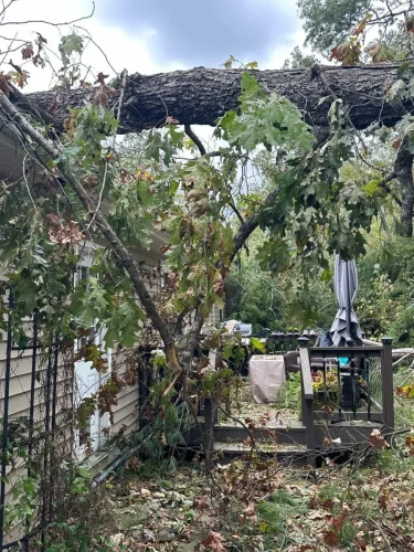 Home exterior showing fallen tree on back deck after storm damage.