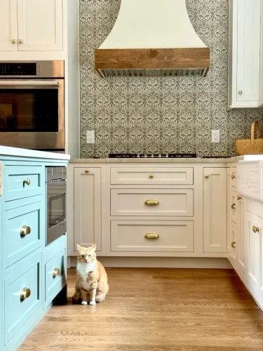Modern farmhouse kitchen with patterned tile backsplash, white cabinets, brass hardware, and an orange cat sitting on the wood floor.