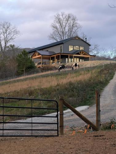 Custom Barndominium exterior with horses grazing.