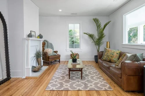 Cozy living room with white walls, leather sofa, and decorative plants.